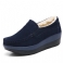 Navy Blue Plush