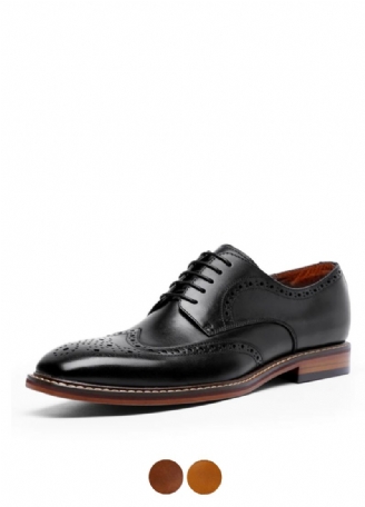 Hayden Męskie Buty Oxford