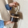 Kawowy
